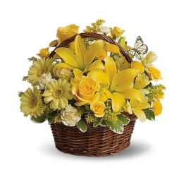 Yellow basket