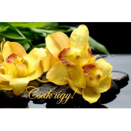Gift Card 29