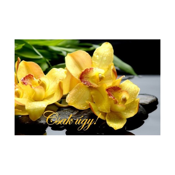 Gift Card 29