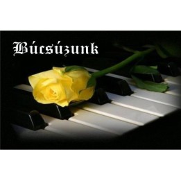 Ajándékkísérő 31