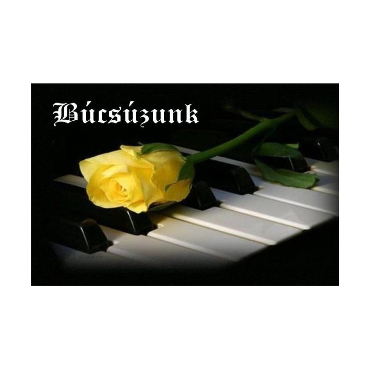 Ajándékkísérő 31