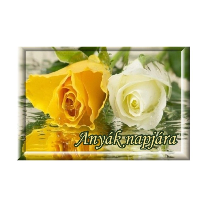 Ajándékkísérő 41