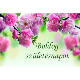 Ajándékkísérő 50