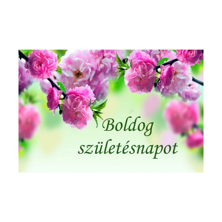 Ajándékkísérő 50