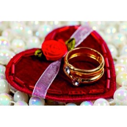 Gift Card 04