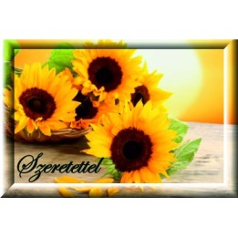 Gift Card 09