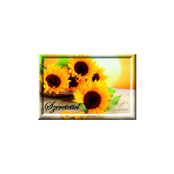 Ajándékkísérő 09