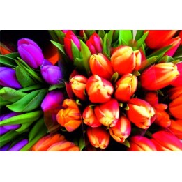 Gift Card 19