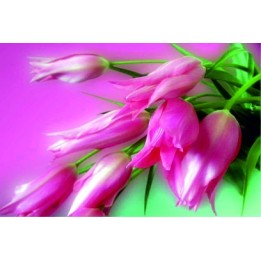 Gift Card 20