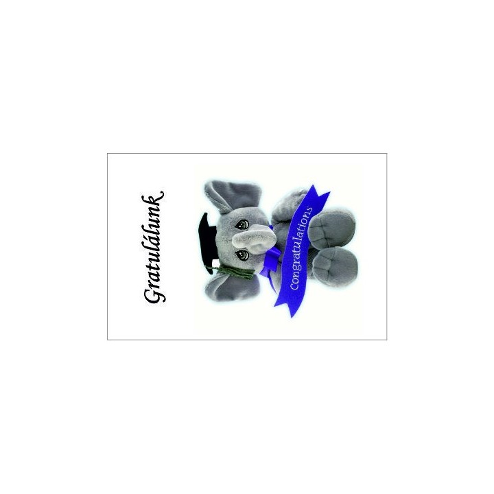 Gift Card 22